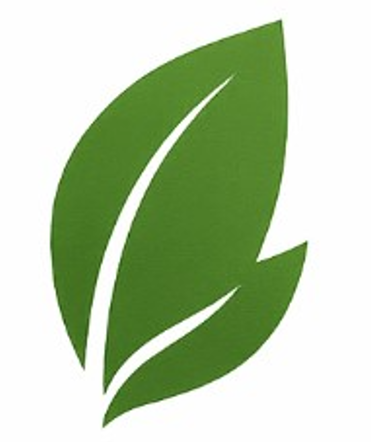 Lestari Niaga Solutions Logo